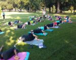 Yoga in The Park